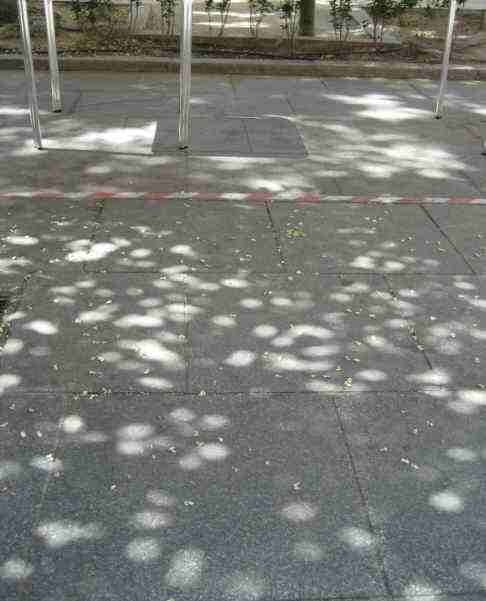 arboles sombra normal